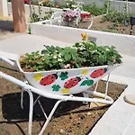 Sofia * Sveti Filip i Jakov