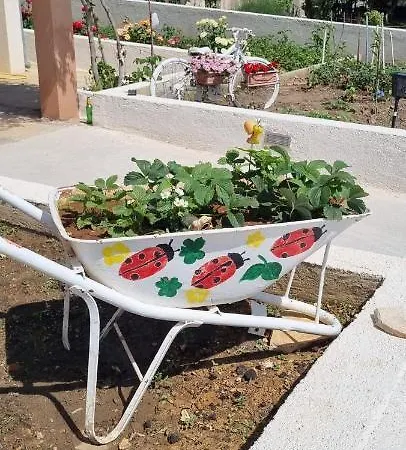Sofia * Sveti Filip i Jakov
