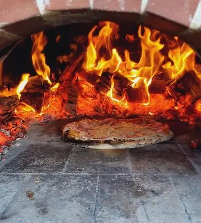 Apartment Sofia Sveti Filip i Jakov