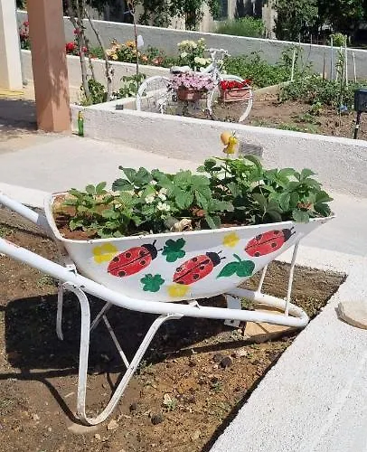 Sofia * Sveti Filip i Jakov